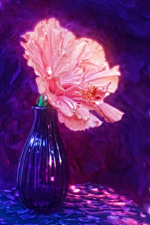 pink hibiscus with purple vase se