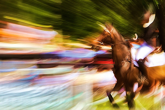 dark bay horse running cropped se