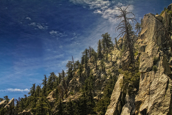 Palm Springs mountain_1